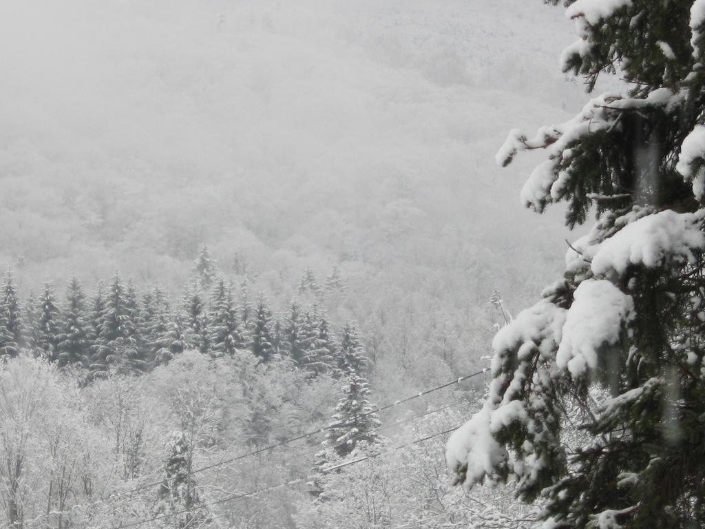 Deerhill Inn West Dover Dış mekan fotoğraf